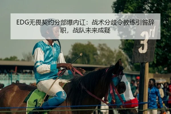EDG无畏契约分部爆内讧：战术分歧令教练引咎辞职，战队未来成疑